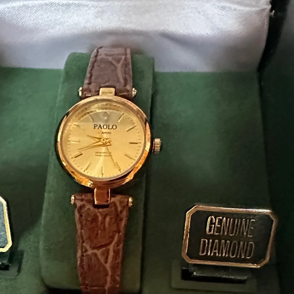 Gucci Paolo Gucci Genuine Diamond and Leather Watch - Picture 11 of 16